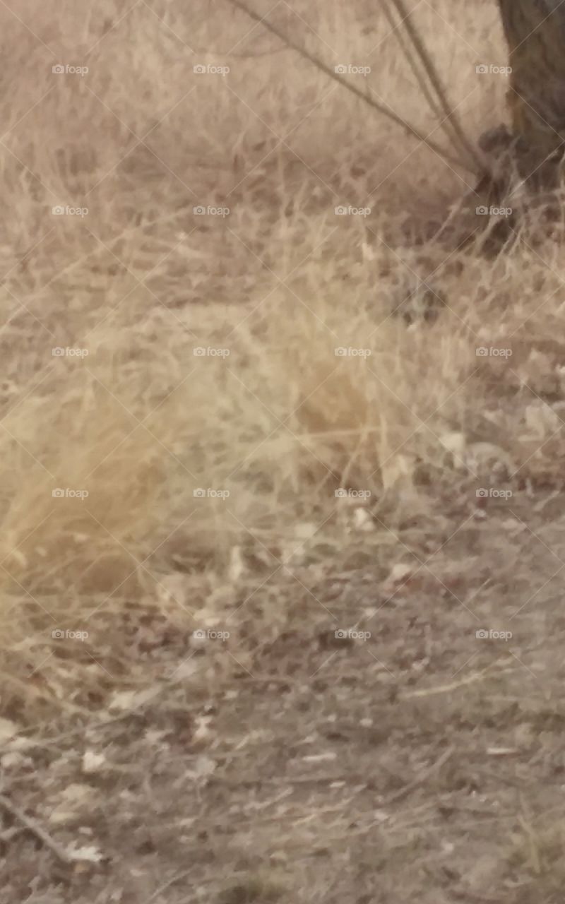 Desktop, Texture, Nature, Pattern, No Person