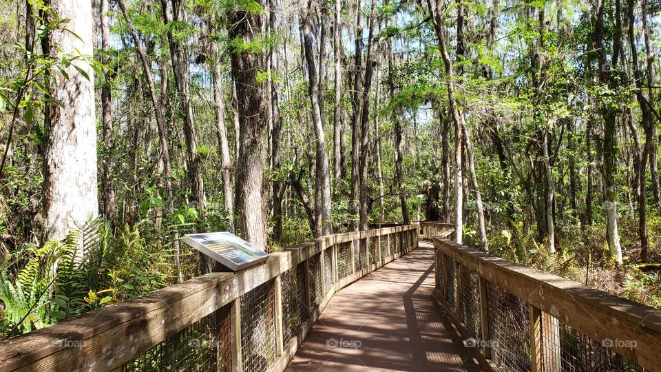 spring walk trail