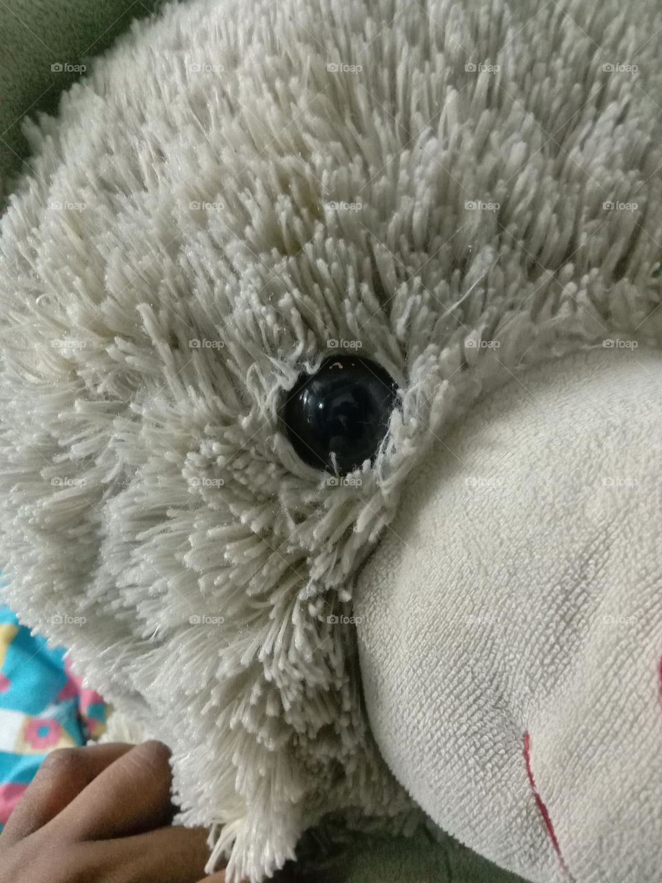 The eyes speaks louder than words. but that's my sister's birthday teddy.