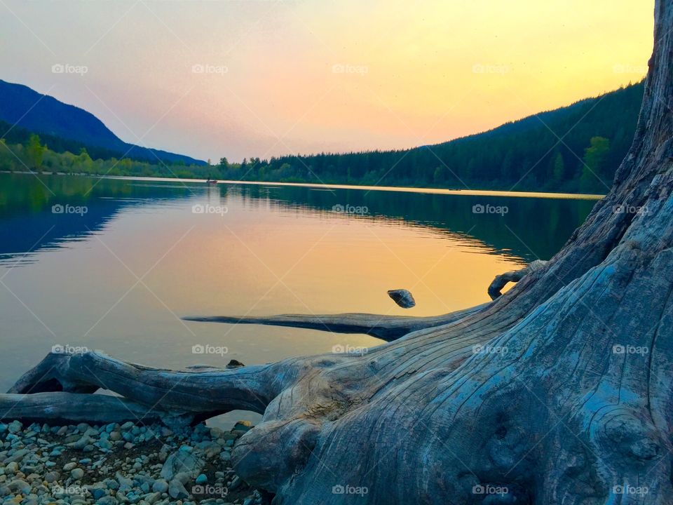 Scenic view of lake