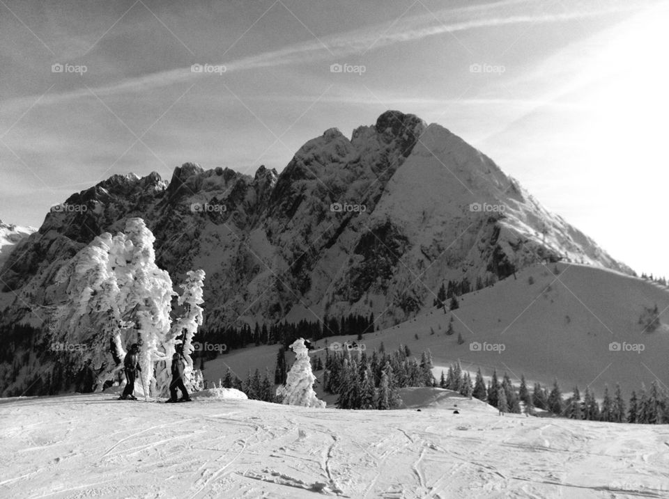 snow mountain tree skiing by royaltight