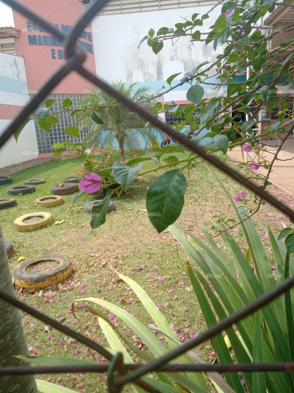 O Encanto das flores!