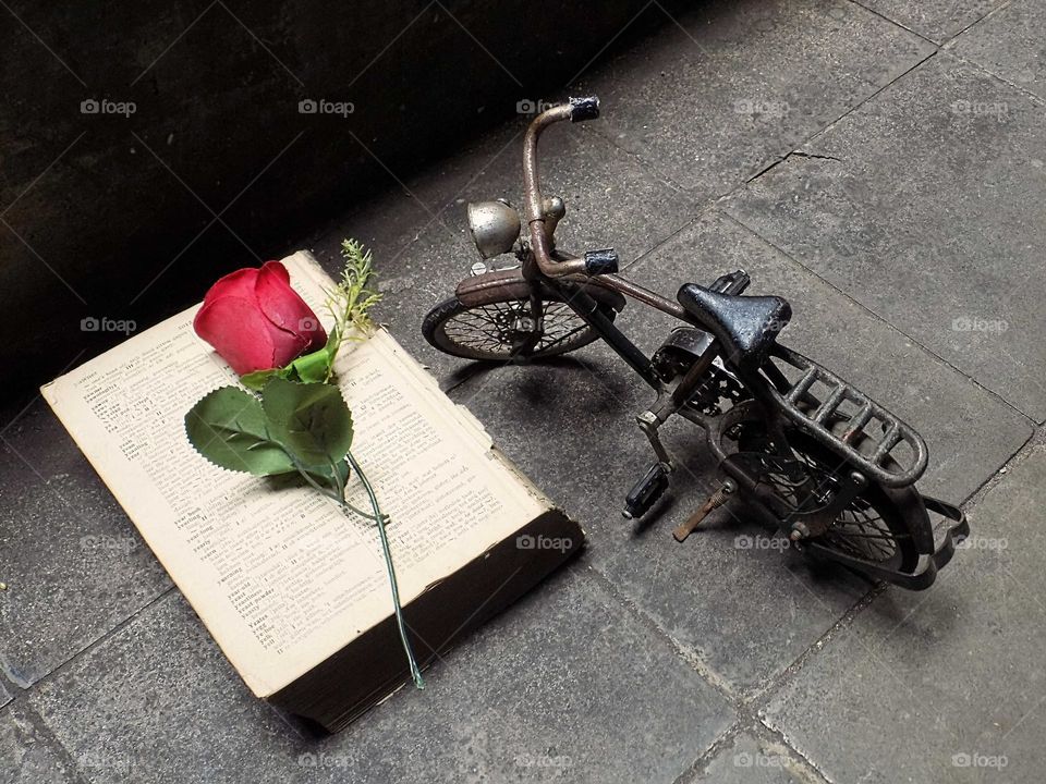 The meaning of love in a book