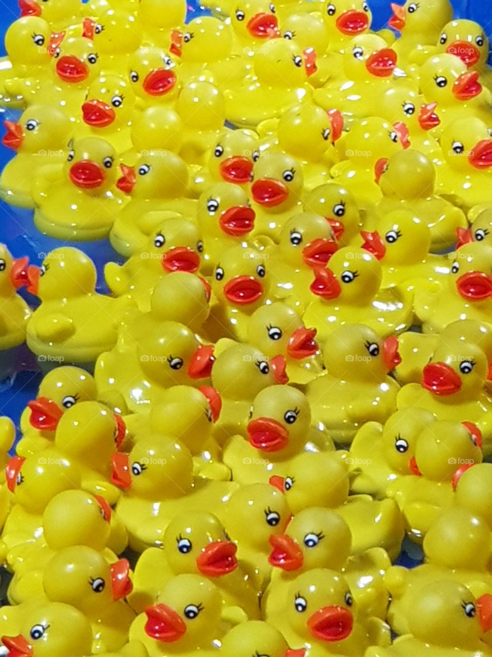 public bath for ducks