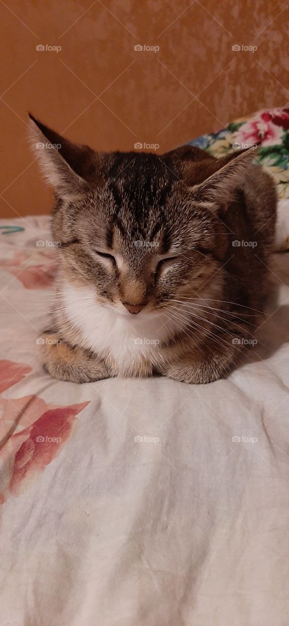 Посплю,  потом  буду    думать   по  утру!