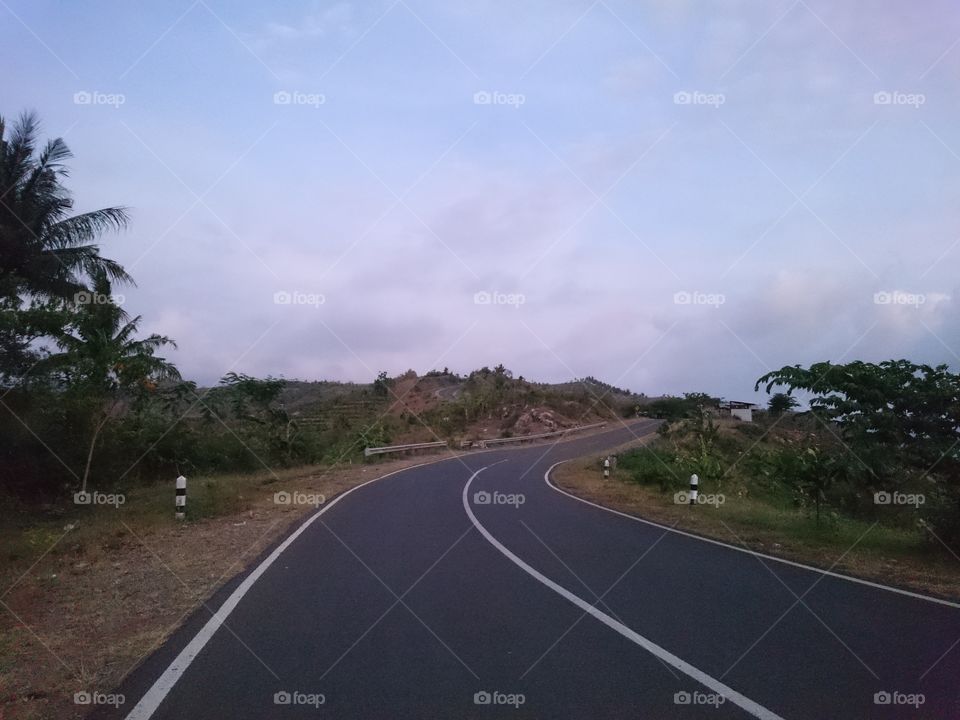 Road, No Person, Tree, Travel, Landscape