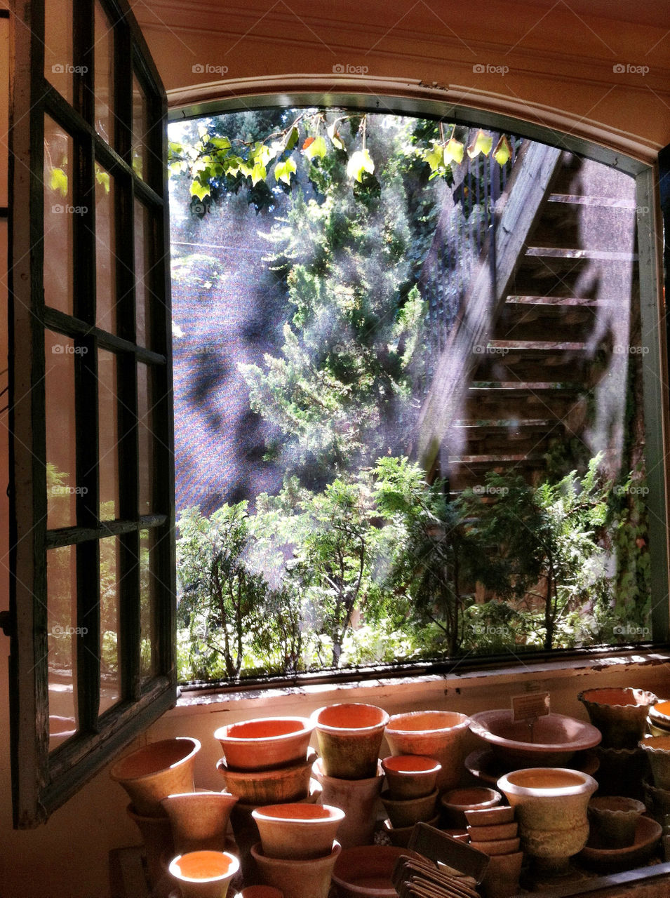 flower sun window pots by percypiglet