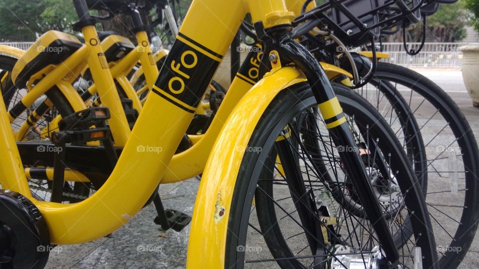 ofo bycicle