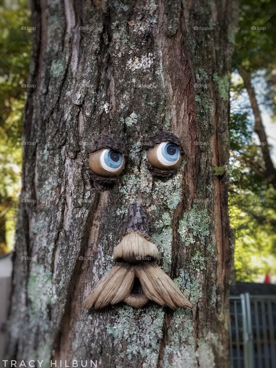 fun in the yard. #tree #rustic #rusticdecor #yardart #funny #funnyface #tree #treebark
