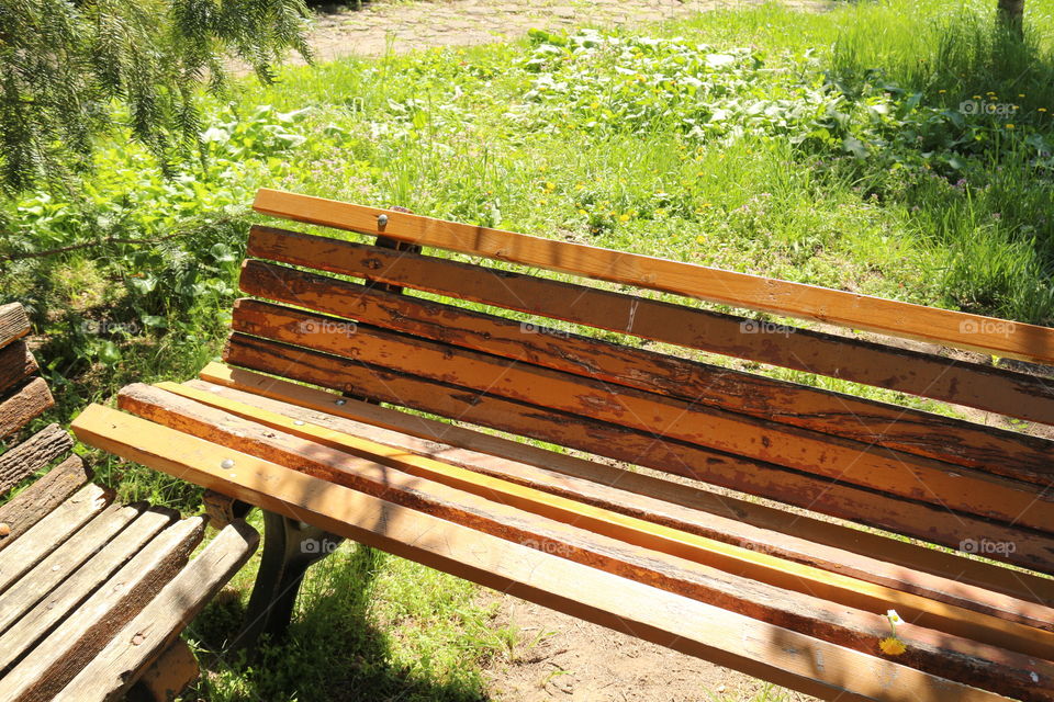 bench