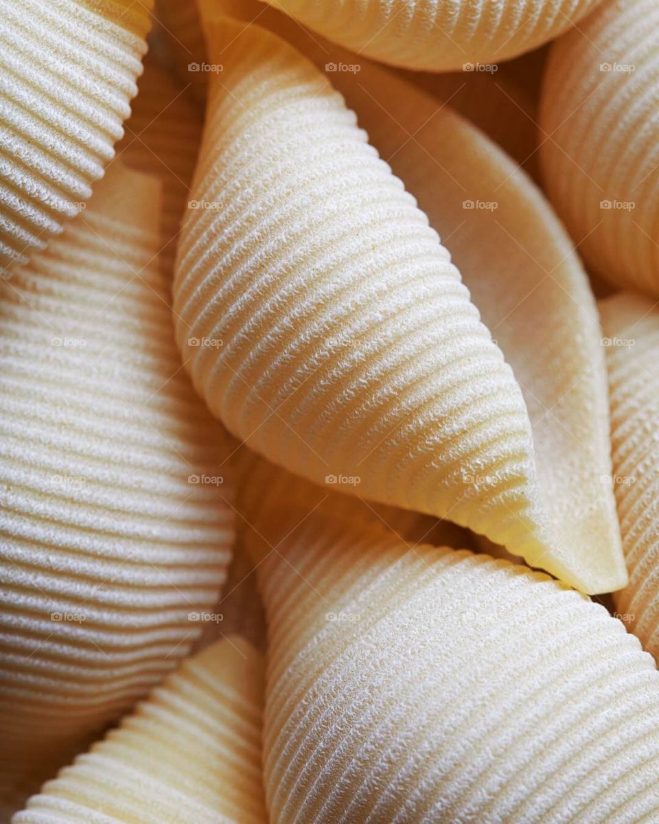 Beautiful texture and pattern of the seashell pasta.