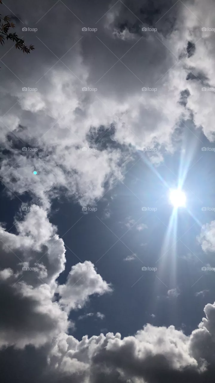 Cloud 