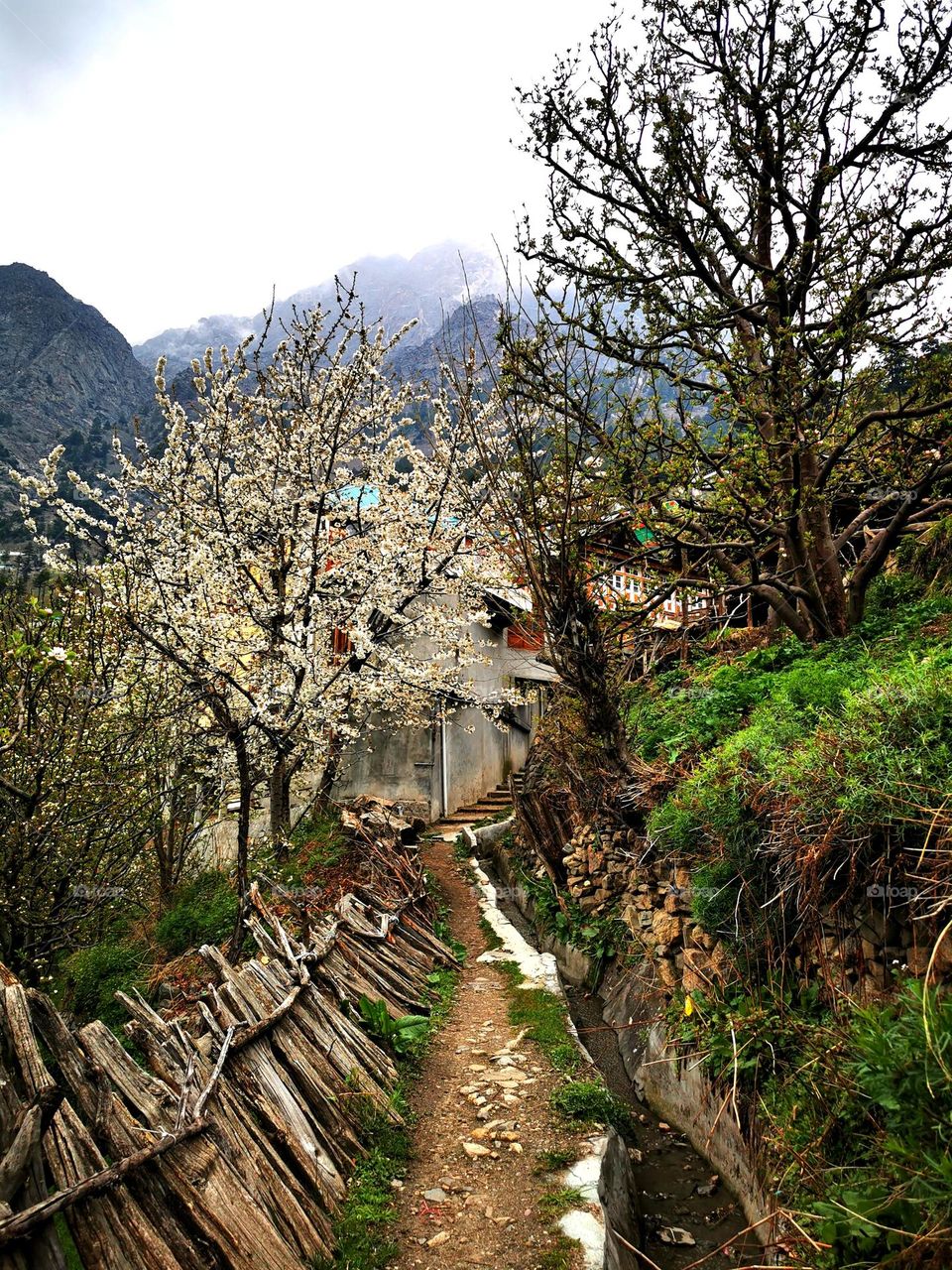 Rainy Day Walk through