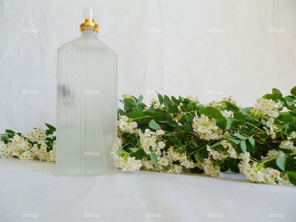 toilet water and white spring flowers on a white background