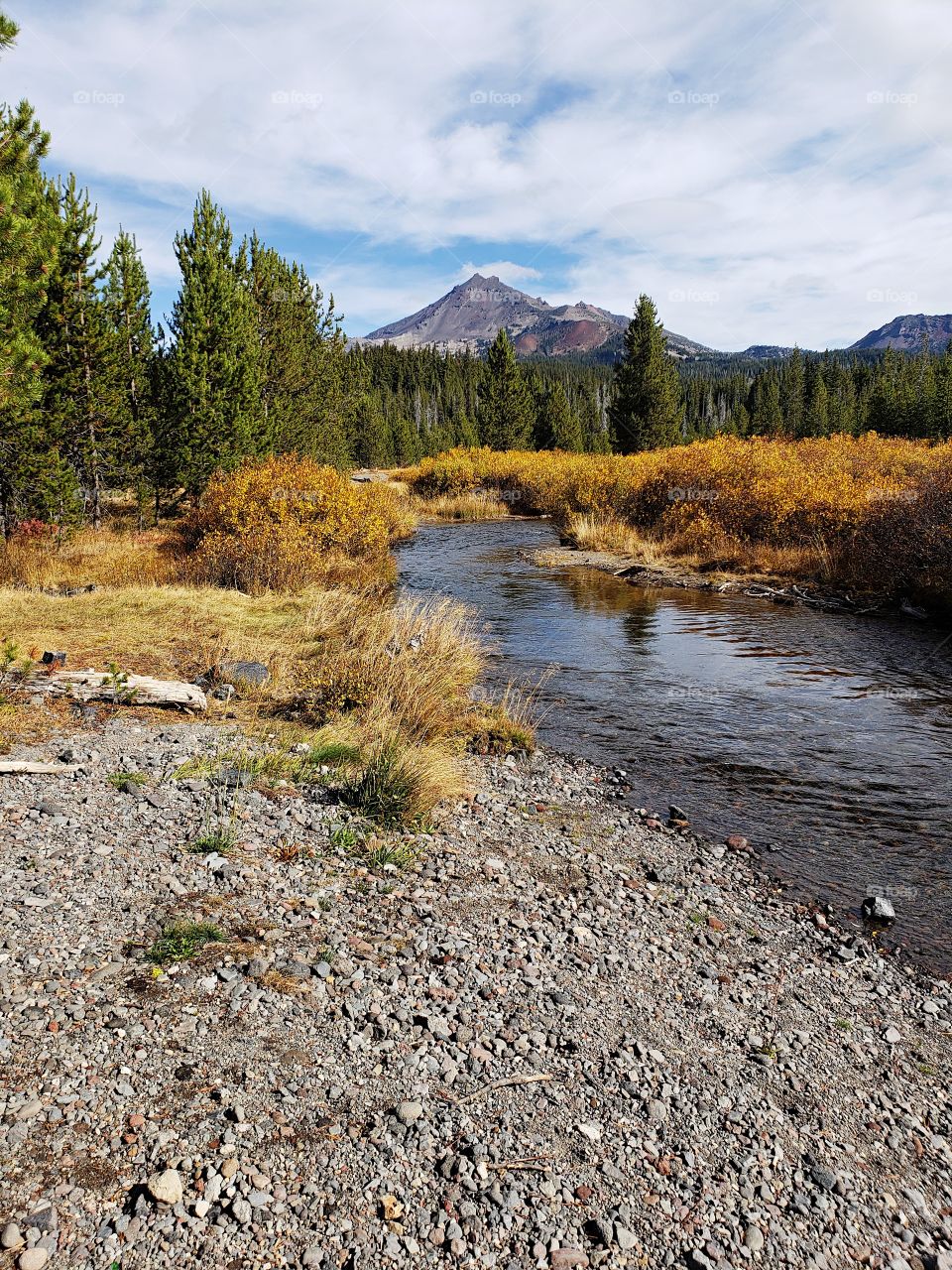 The beautiful Soda Creek in the mountains of Oregon with banks covered in golden fall foliage with the South Sister towering in the background.