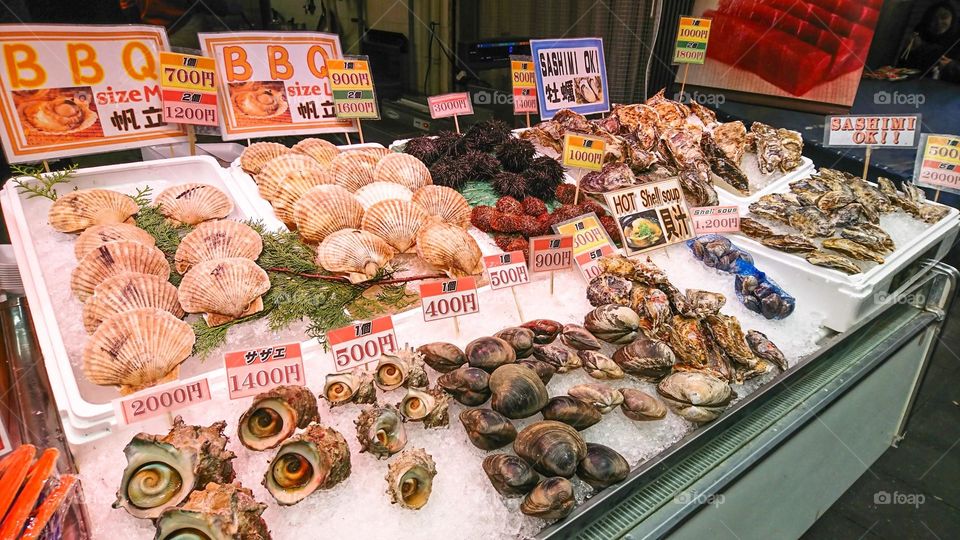 So many kind of scallops in here.such as sea snails and clams.