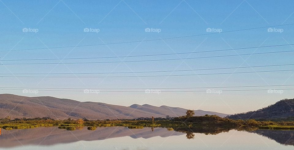 reflection PANTANAL MS BRAZIL