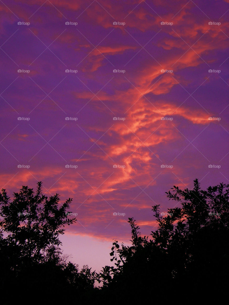 Sunset clouds in purple and orange