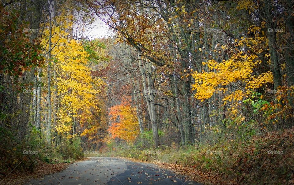 Ohio Country Road in Autumn