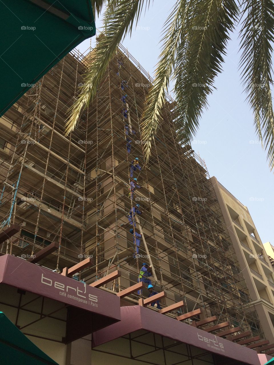 Raising the planks in the Greens, Dubai. Construction site workers, Berts, The Greens, Dubai