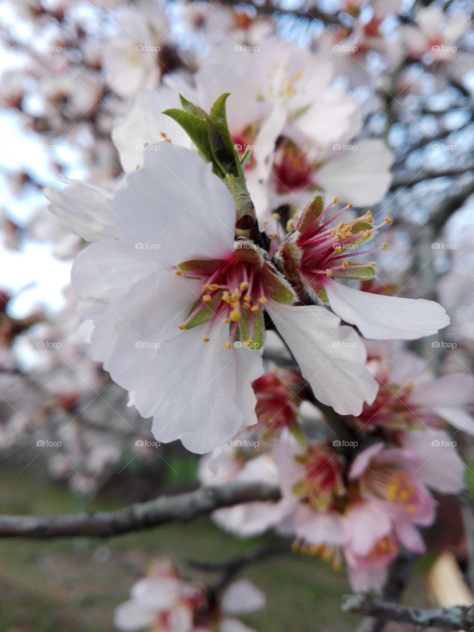 #Share your Spring with NIVEA