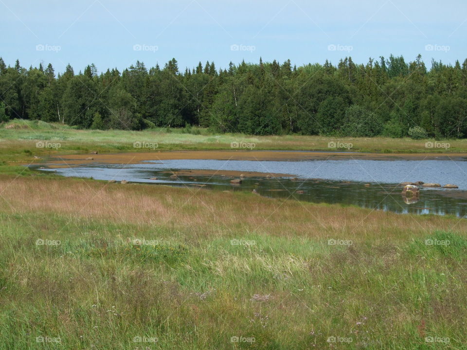 Landscape, Lake, Tree, River, Water