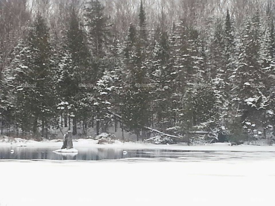 Panoramic view of trees across half frozen lake