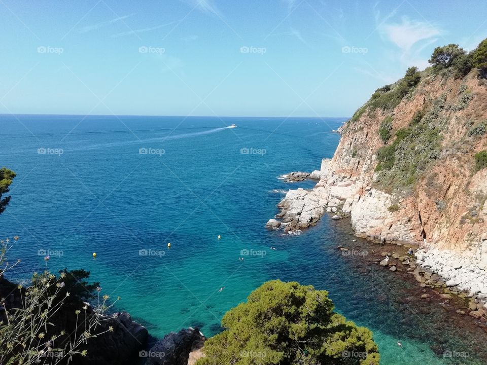 Tossa de mar