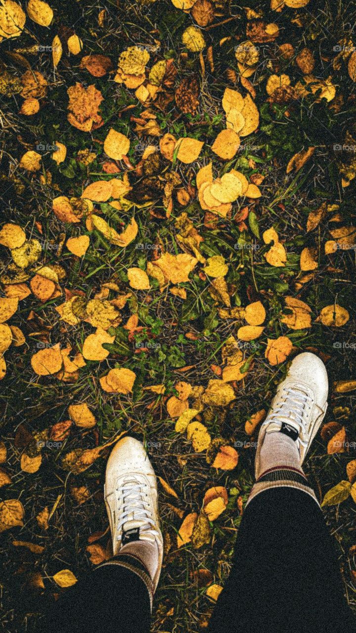 Legs, photo of feet , leaves