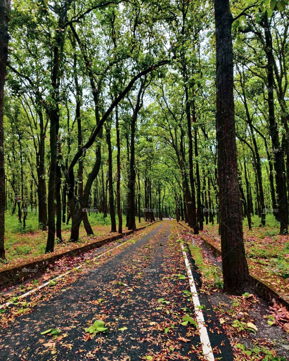 no road is long  when dreams are big and sky is the limit