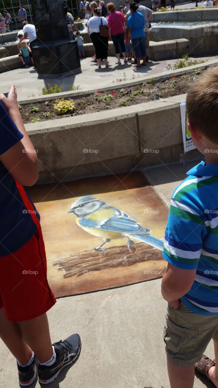 sidewalk chalk art  Bird