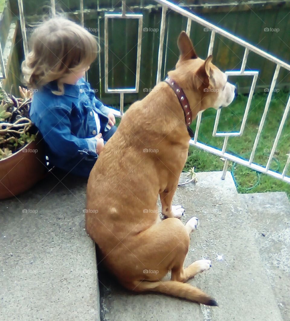 my little girl and her best friend. her favorite, her Nana dog. there isn't much that comes close the feelings I get seeing a small child with their pets. just beautiful.