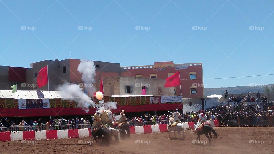 Flock of horses on racing.