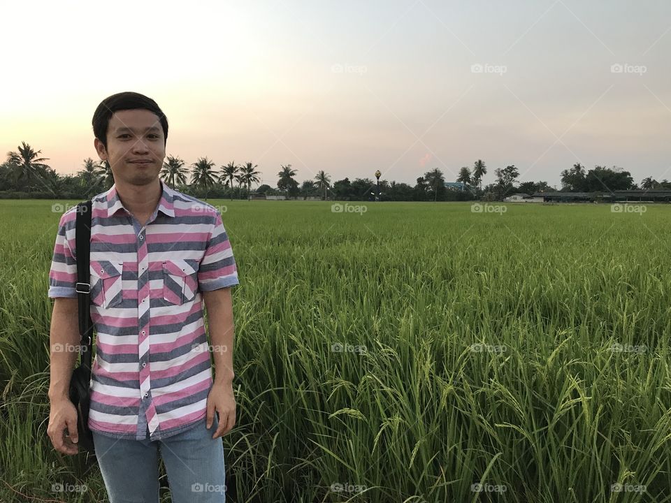 Green nature by rices