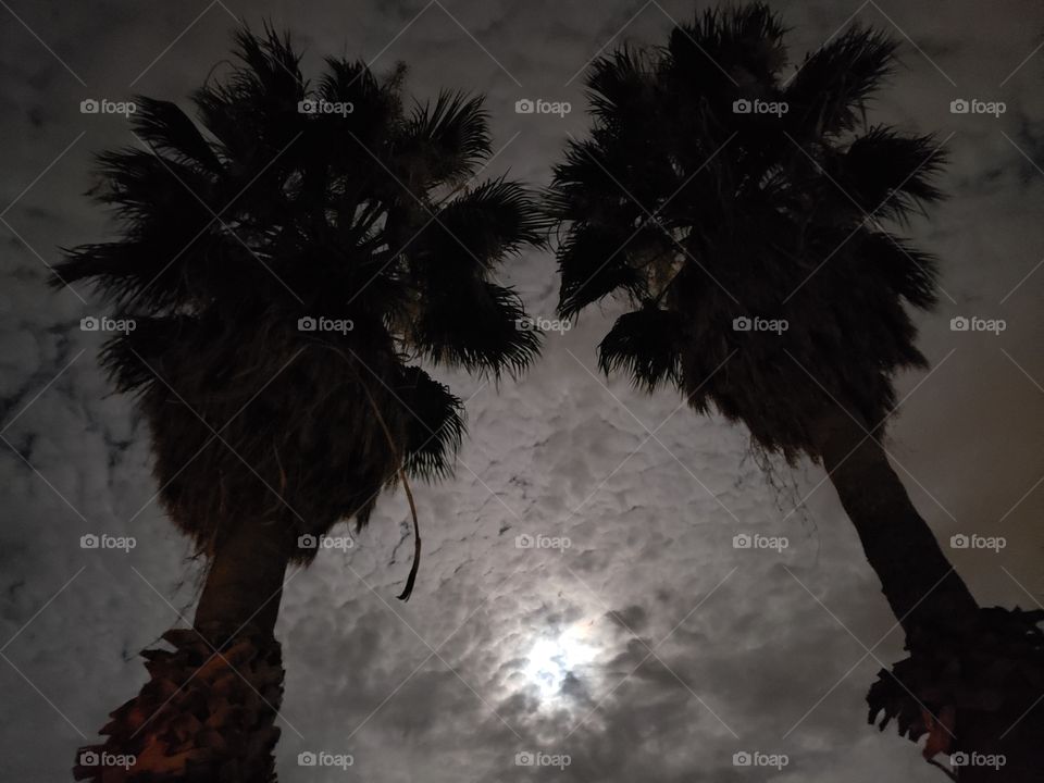 sunrises, sunsets and moons