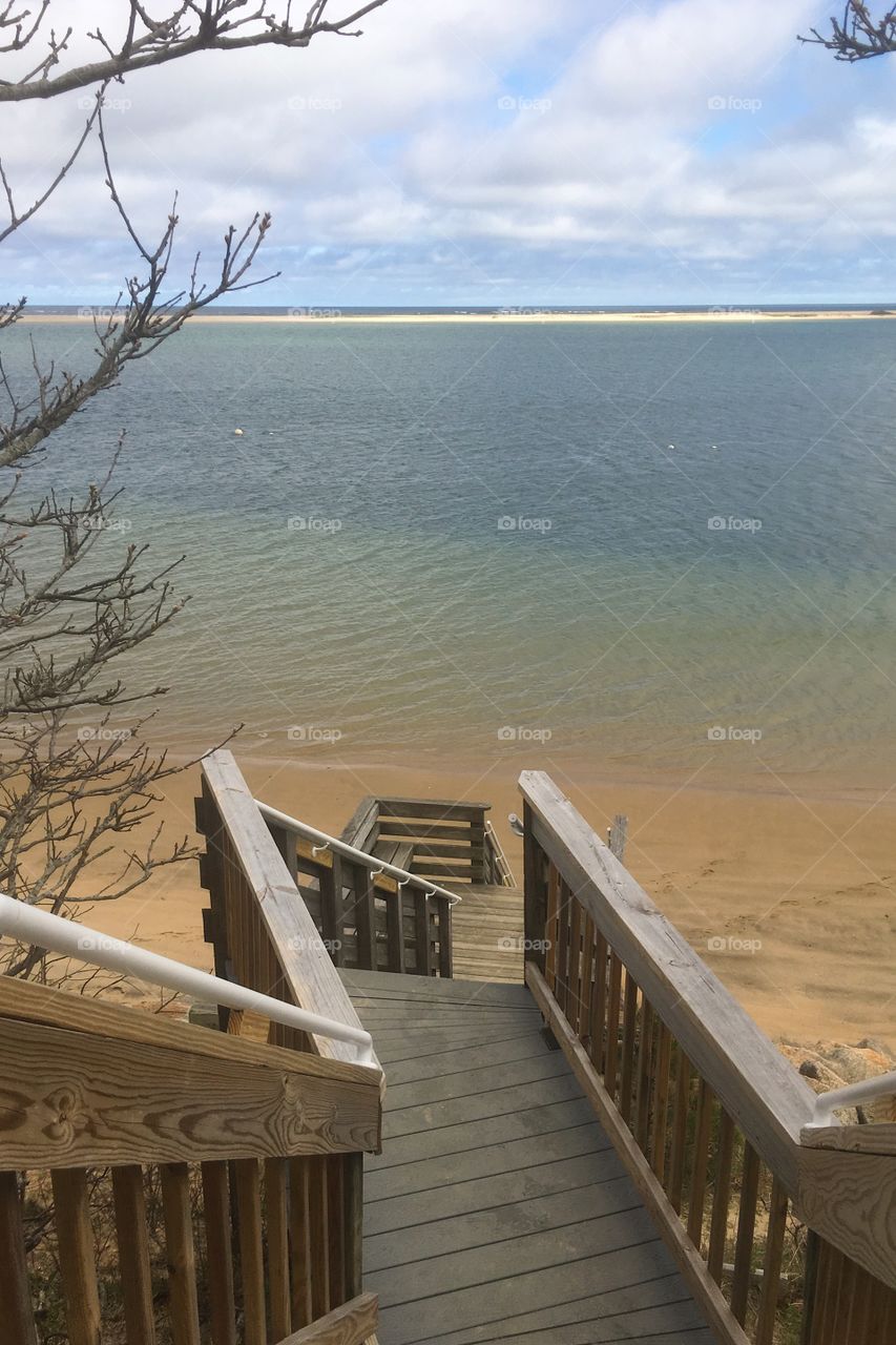 Nature refuge on Cape Cod all to myself. 