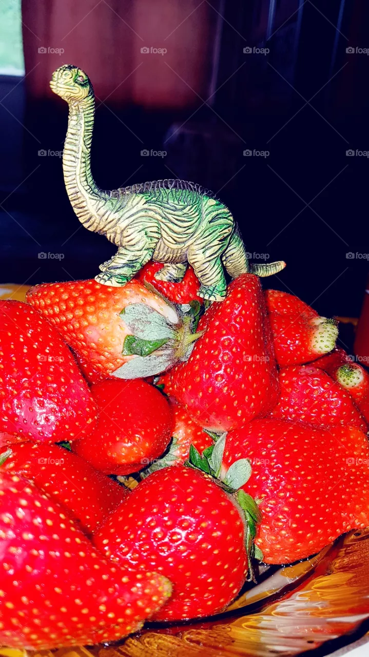dinosaur