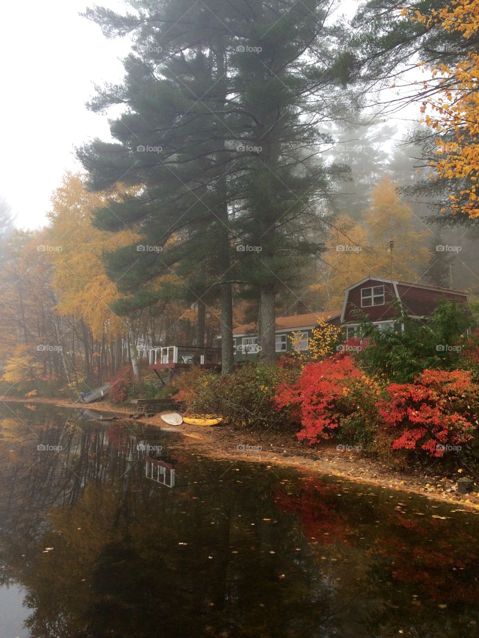 Autumn on the lake 