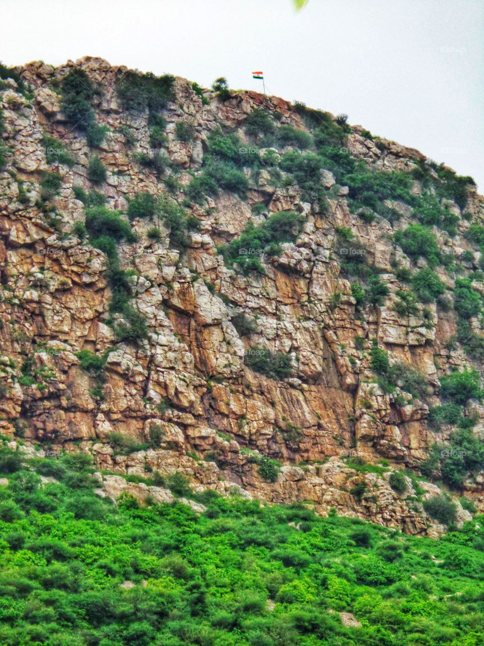 भारत के परिदृश्य