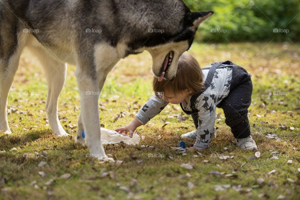 child playing with her dog