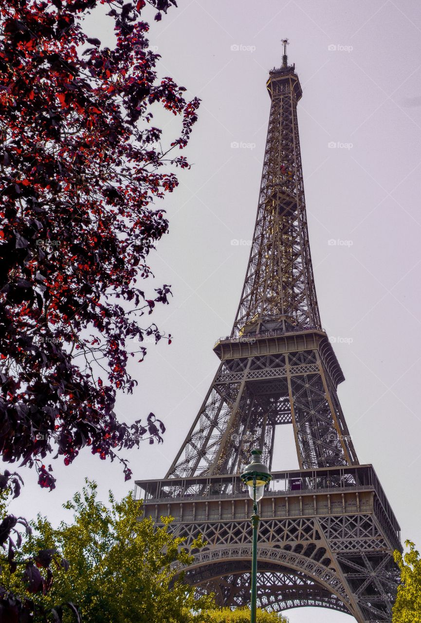 Eiffel tower romance
