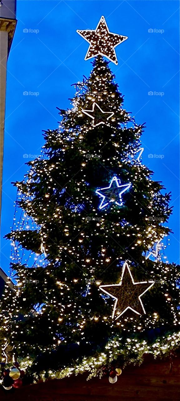 This is the gigantic illuminated Christmas tree that the town of “Straubing” put up this year on the “Theresienplatz”, one of two main town squares in the inner city next to the “Christkindlmarkt”, an annual Christmas fair. 2023. Hypnotic Productions
