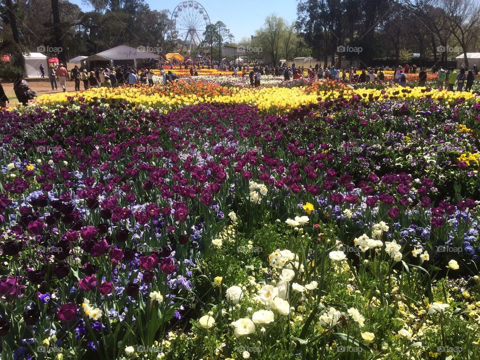 Floriade 