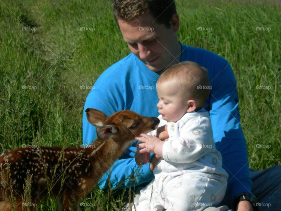 father son and fawn