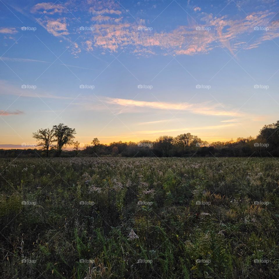 Sunset over the fields