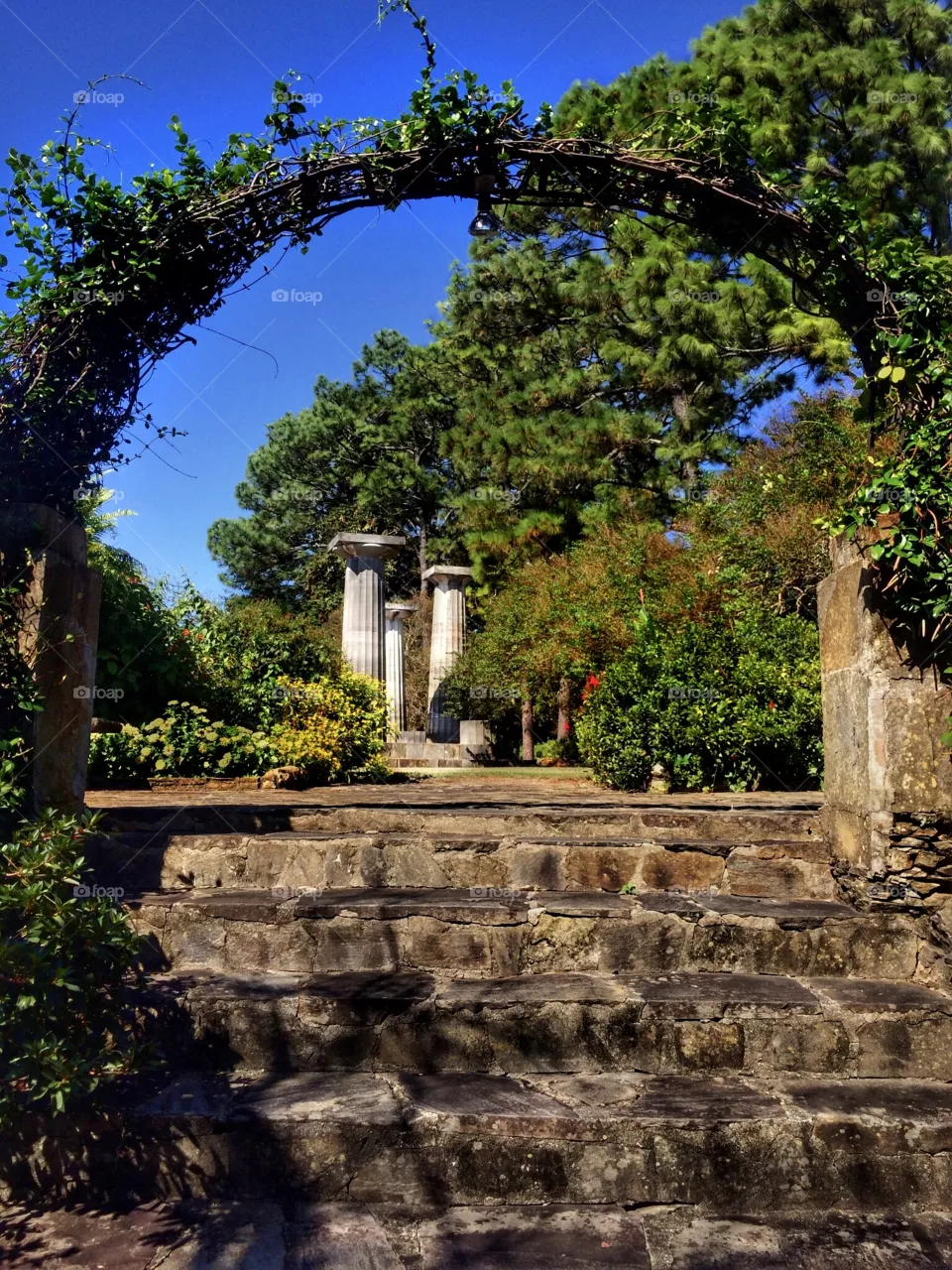 Arch Of The Archons