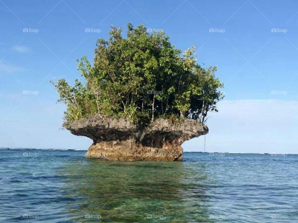 Rocky island in the Solomons.