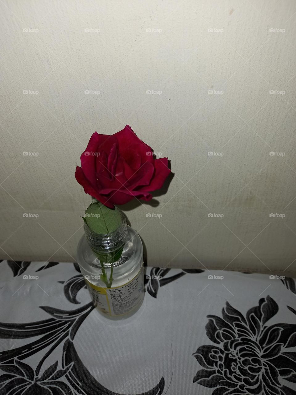Red rose