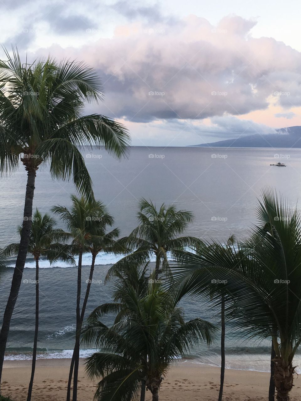 Maui Ocean View
