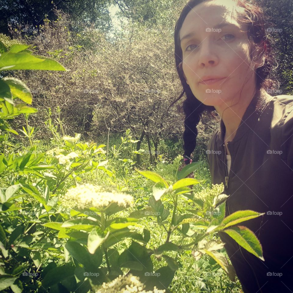 Between the trees in nature the Netherlands